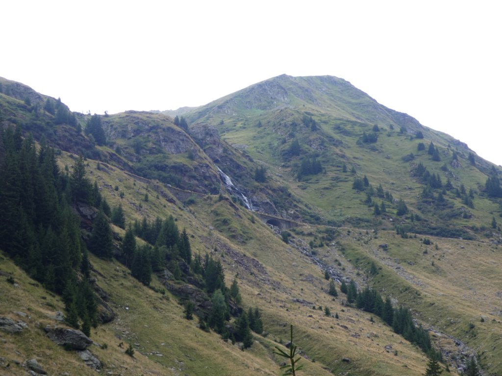photo41.jpg