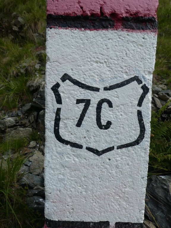 photo65.jpg