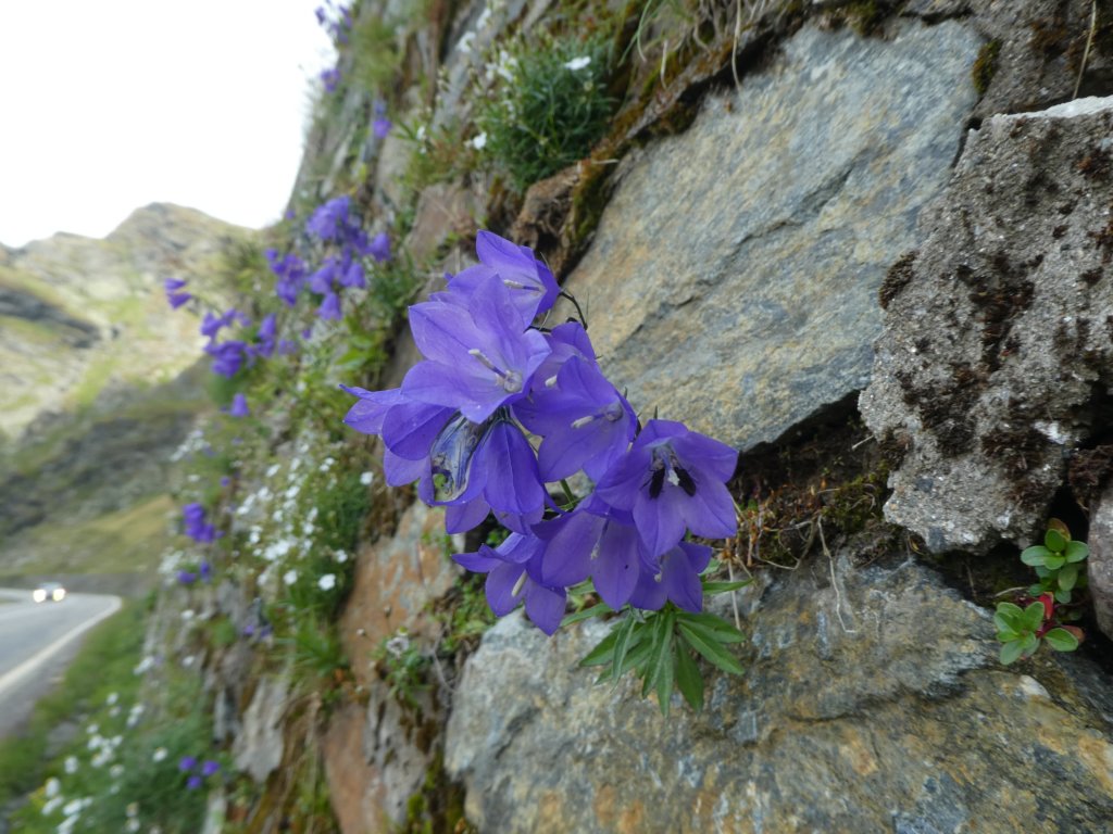 photo75.jpg
