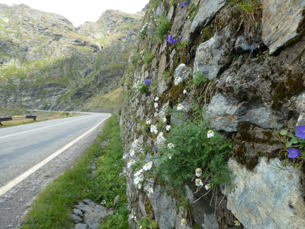 photo76.jpg