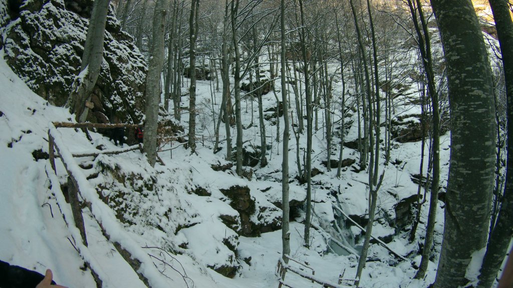 photo17.jpg