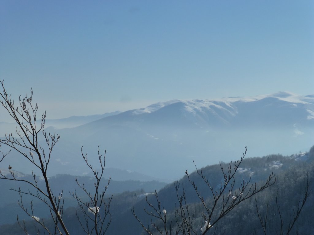photo33.jpg