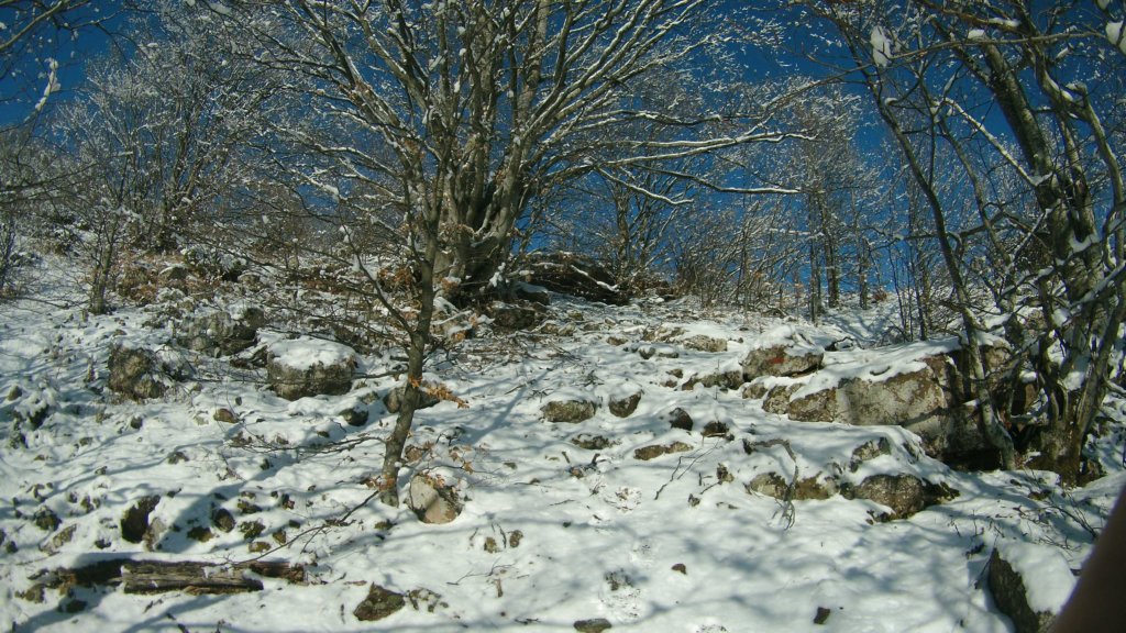 photo37.jpg