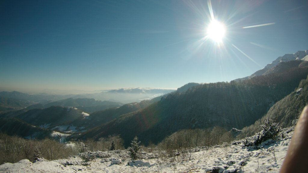 photo43.jpg