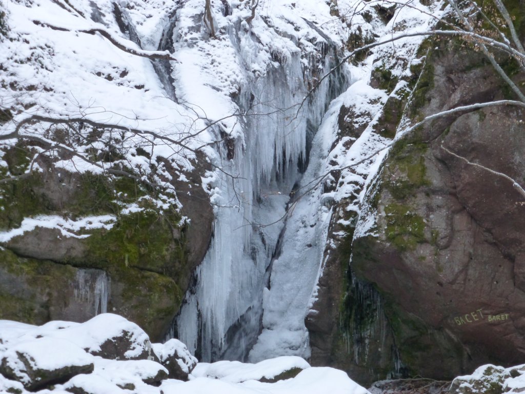 photo8.jpg