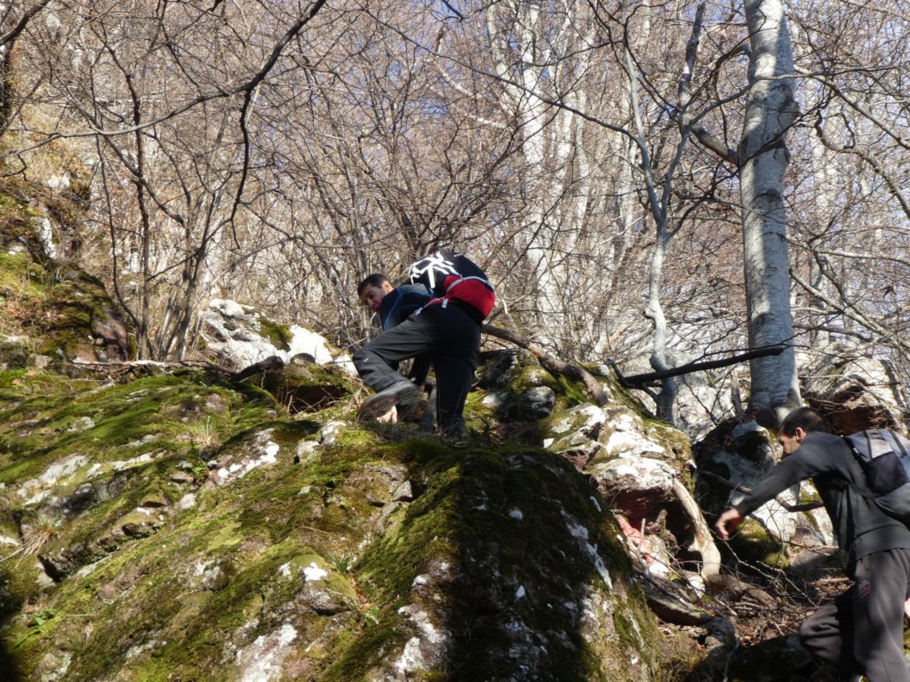 photo12.jpg