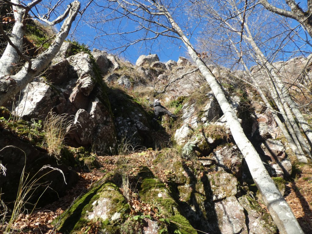 photo15.jpg