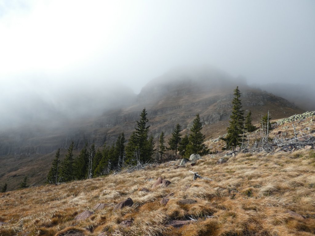 photo33.jpg