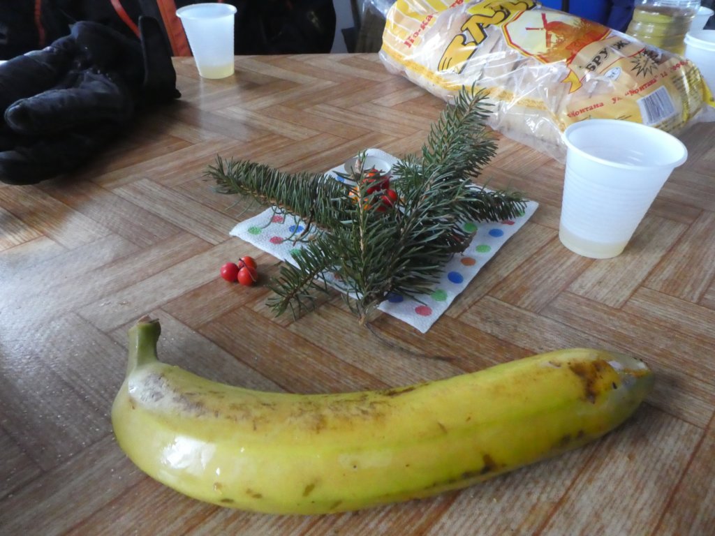 photo56.jpg