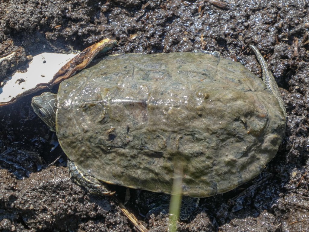 photo102.jpg