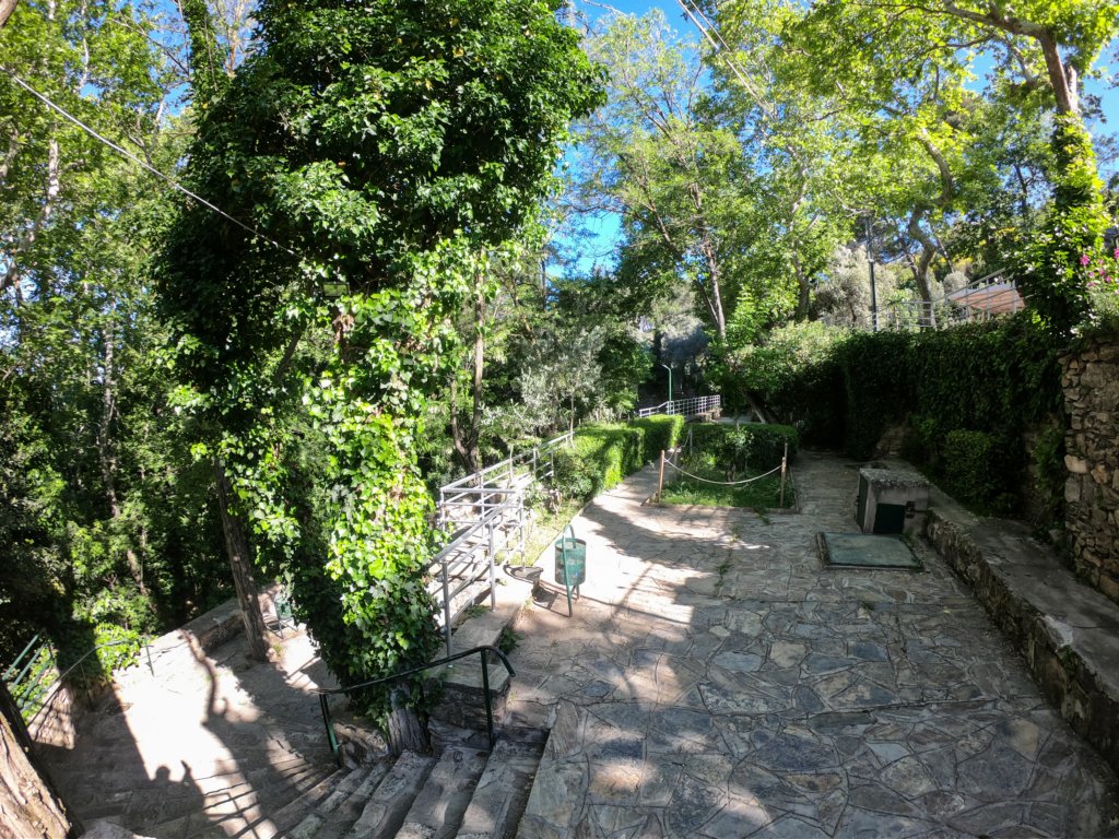 photo11.jpg