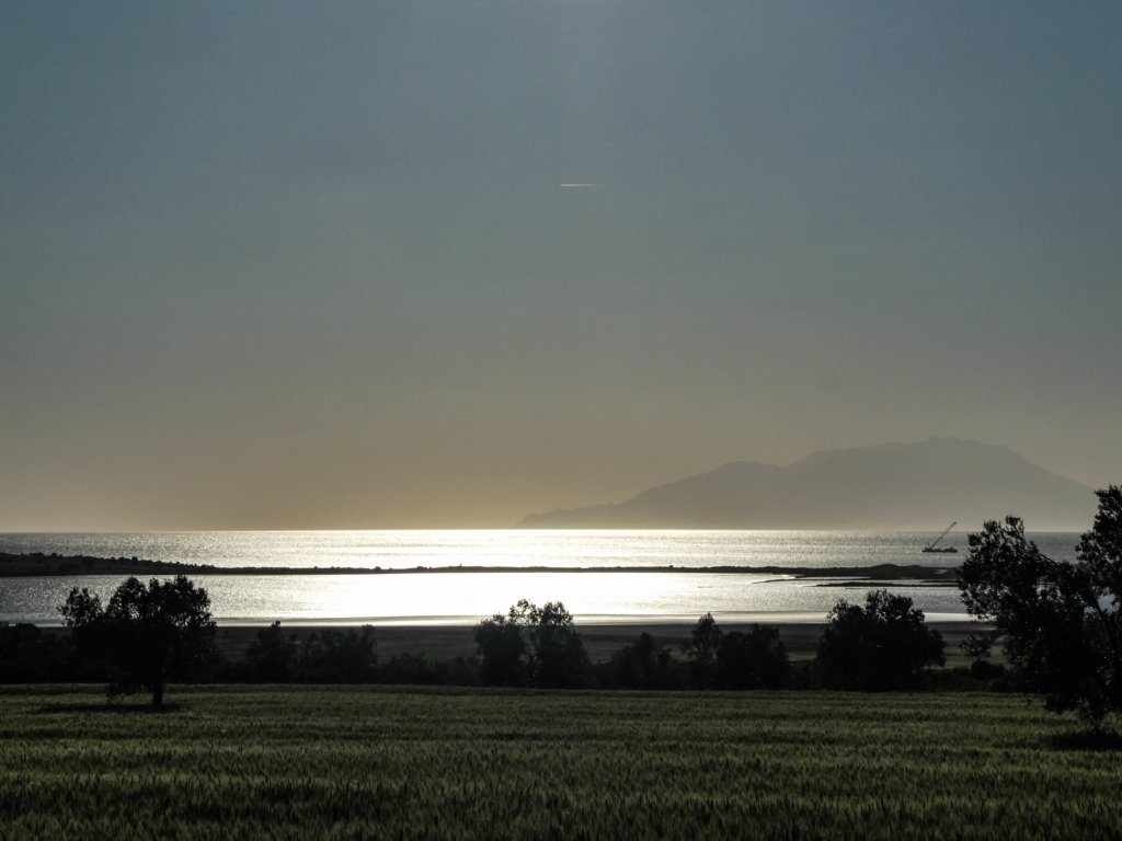photo35.jpg