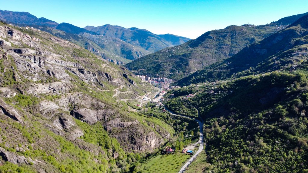 photo2.jpg