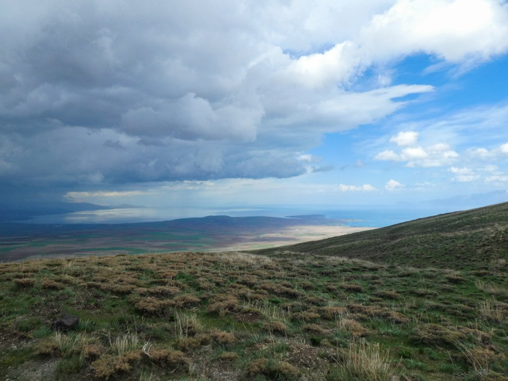 photo9.jpg