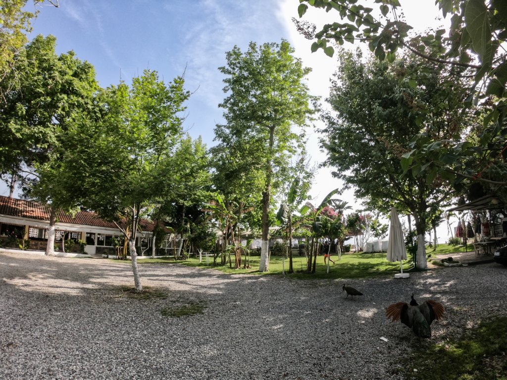 photo20.jpg