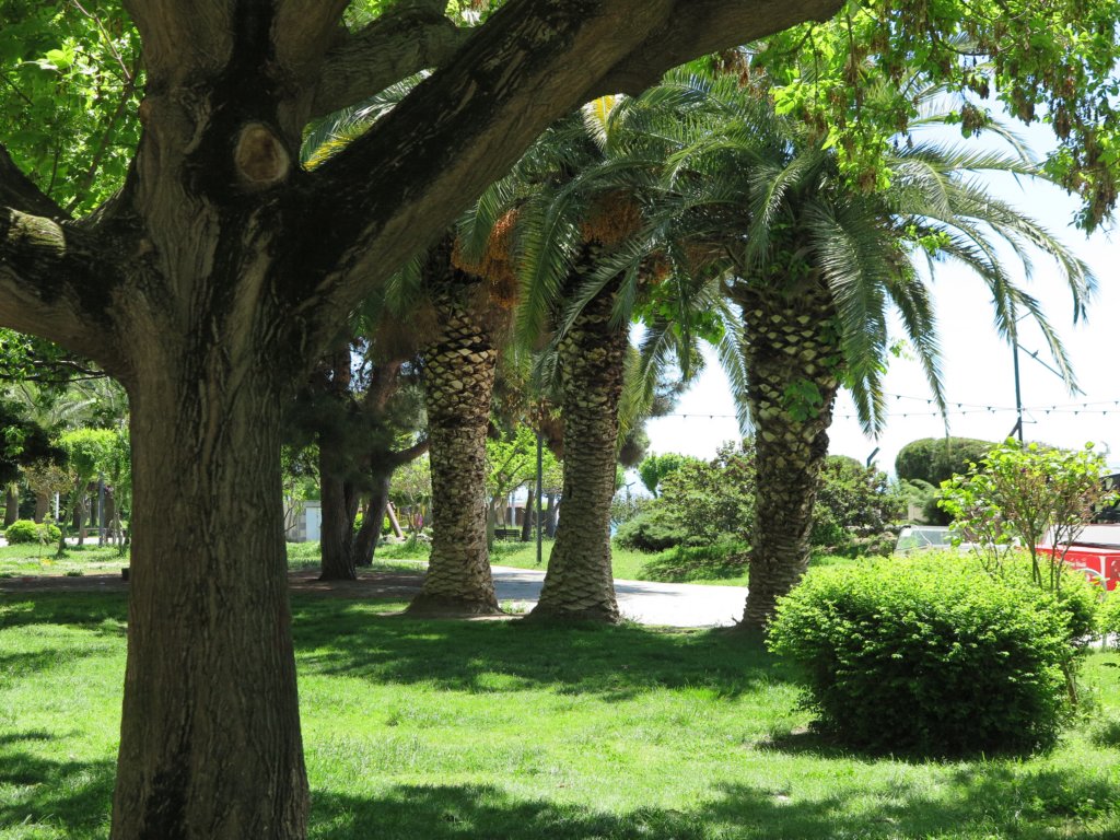 photo41.jpg
