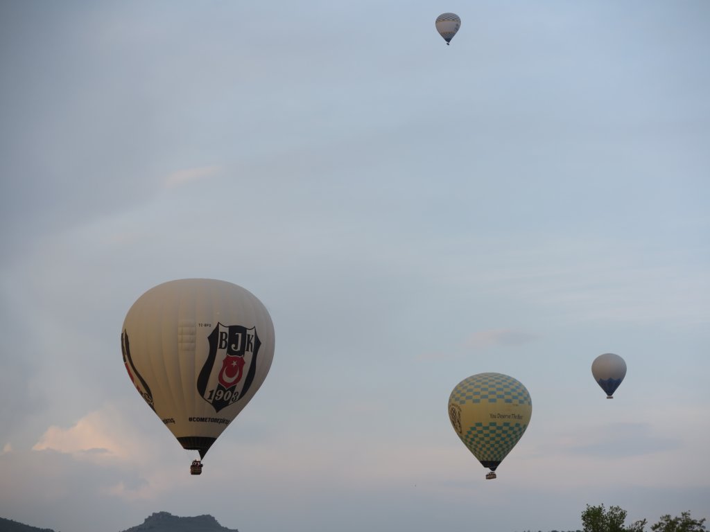 photo11.jpg