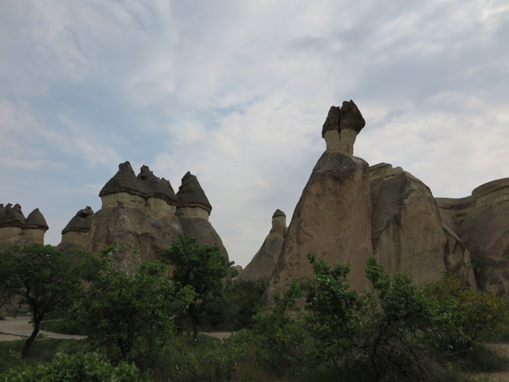 photo29.jpg