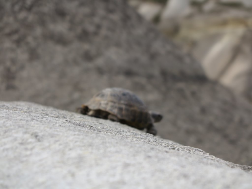 photo50.jpg