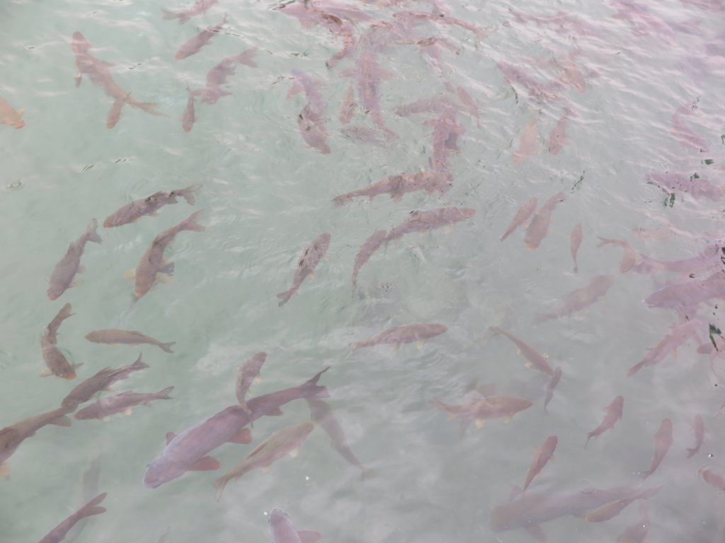 photo20.jpg