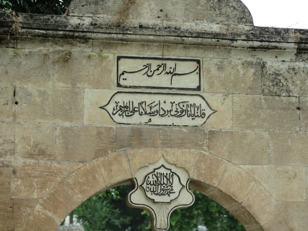 photo23.jpg