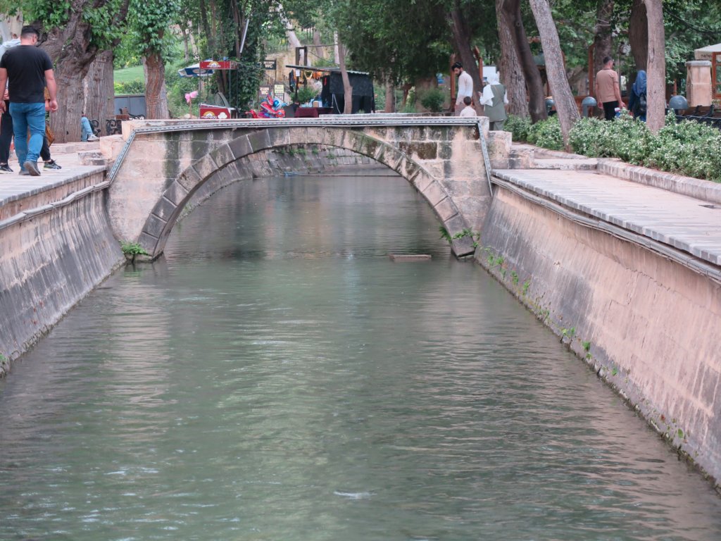 photo31.jpg