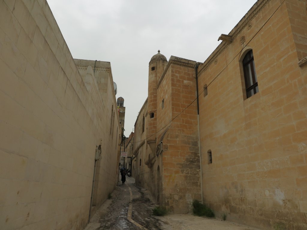 photo7.jpg