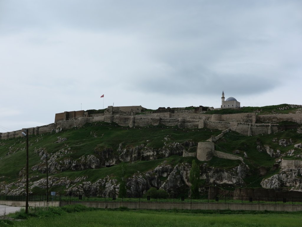photo2.jpg