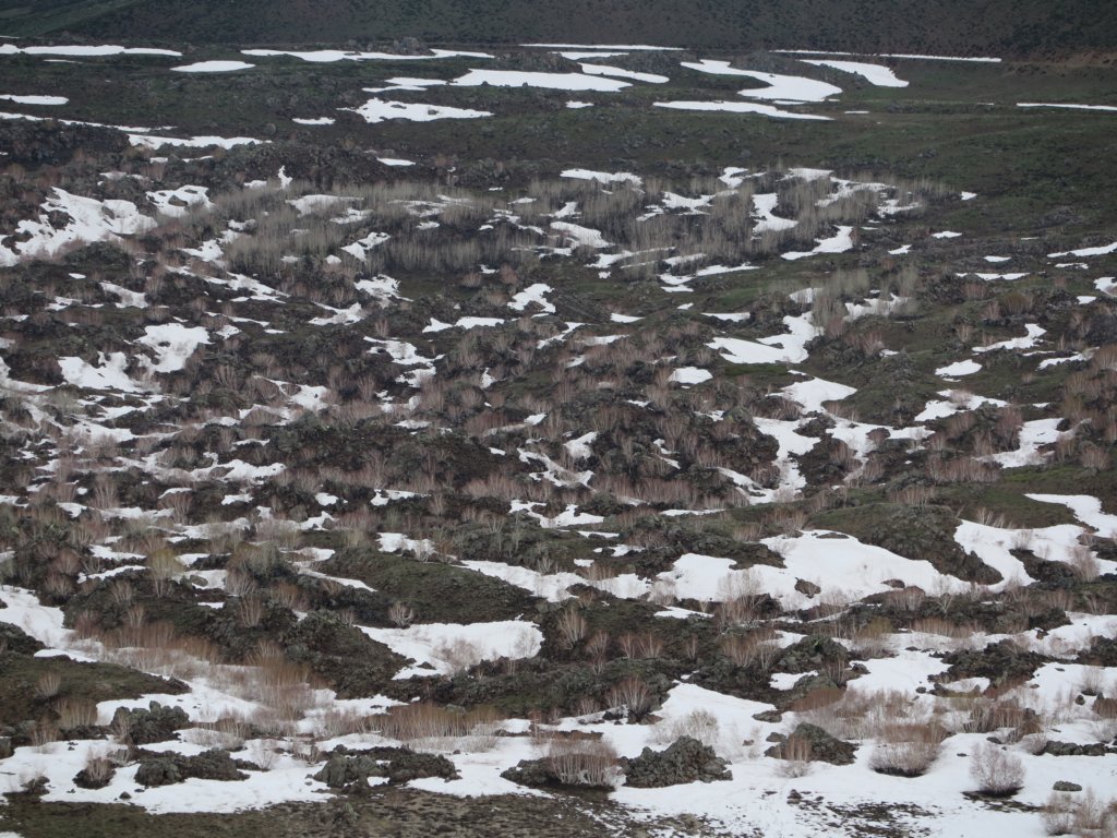 photo2.jpg