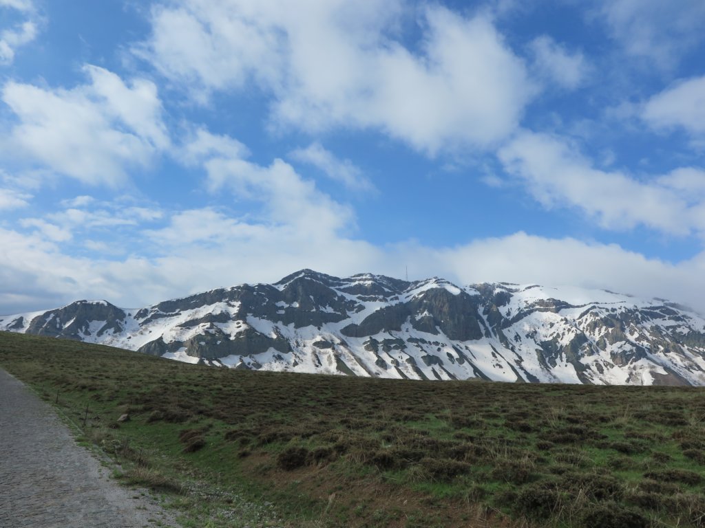 photo4.jpg