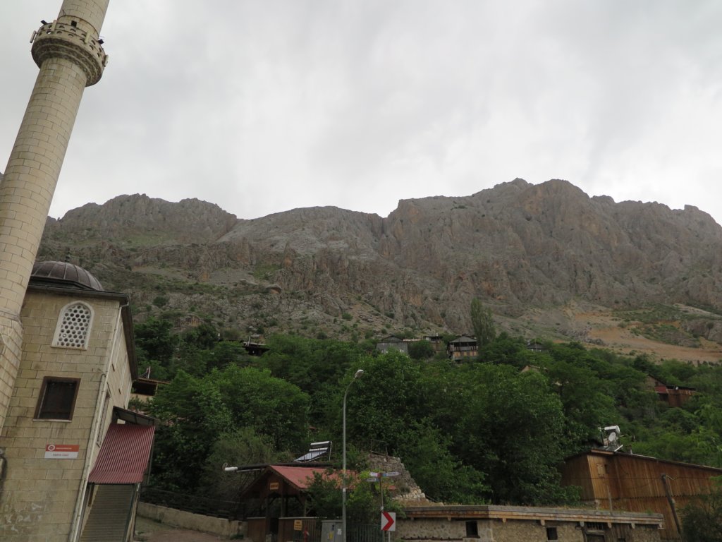 photo19.jpg