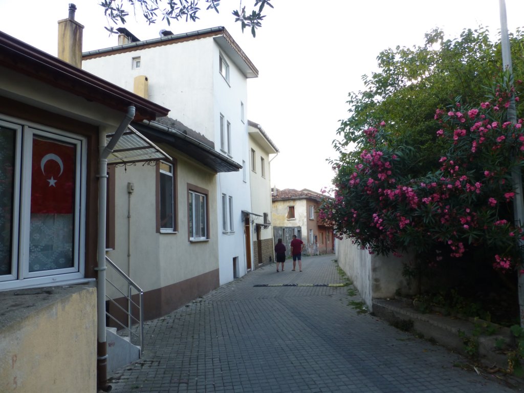 photo36.jpg