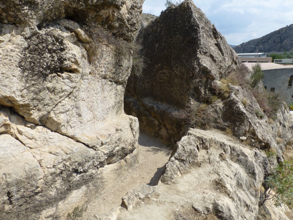 photo7.jpg