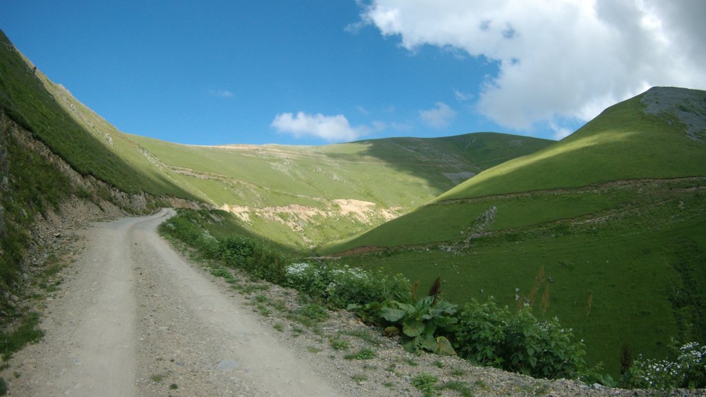 d27.jpg