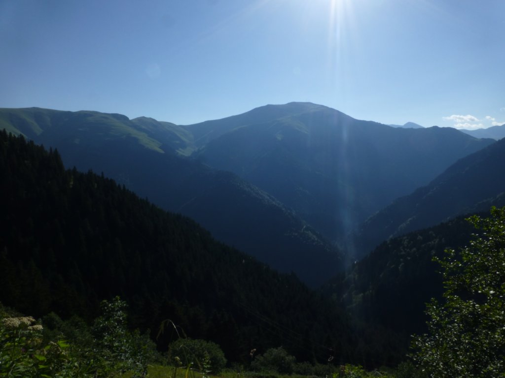 photo16.jpg
