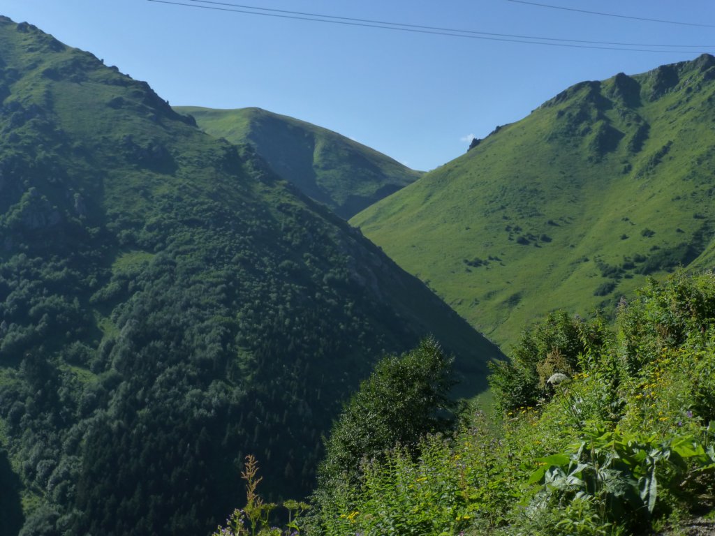 photo24.jpg