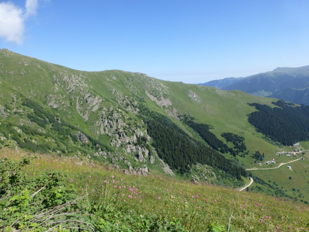 photo39.jpg