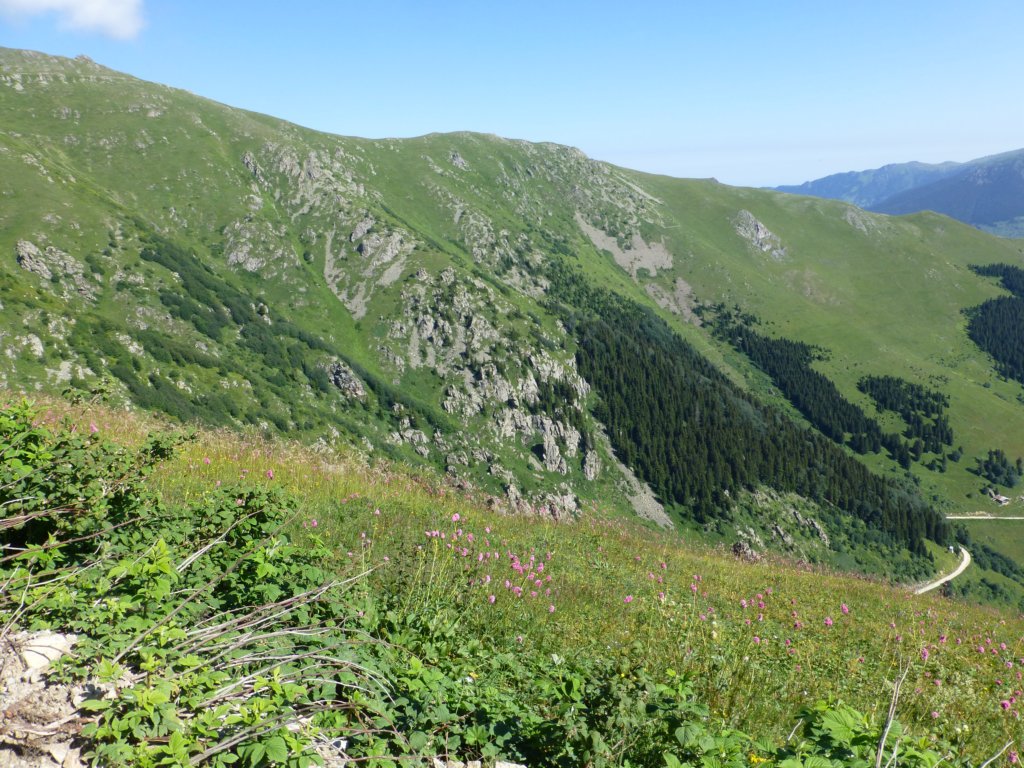 photo43.jpg