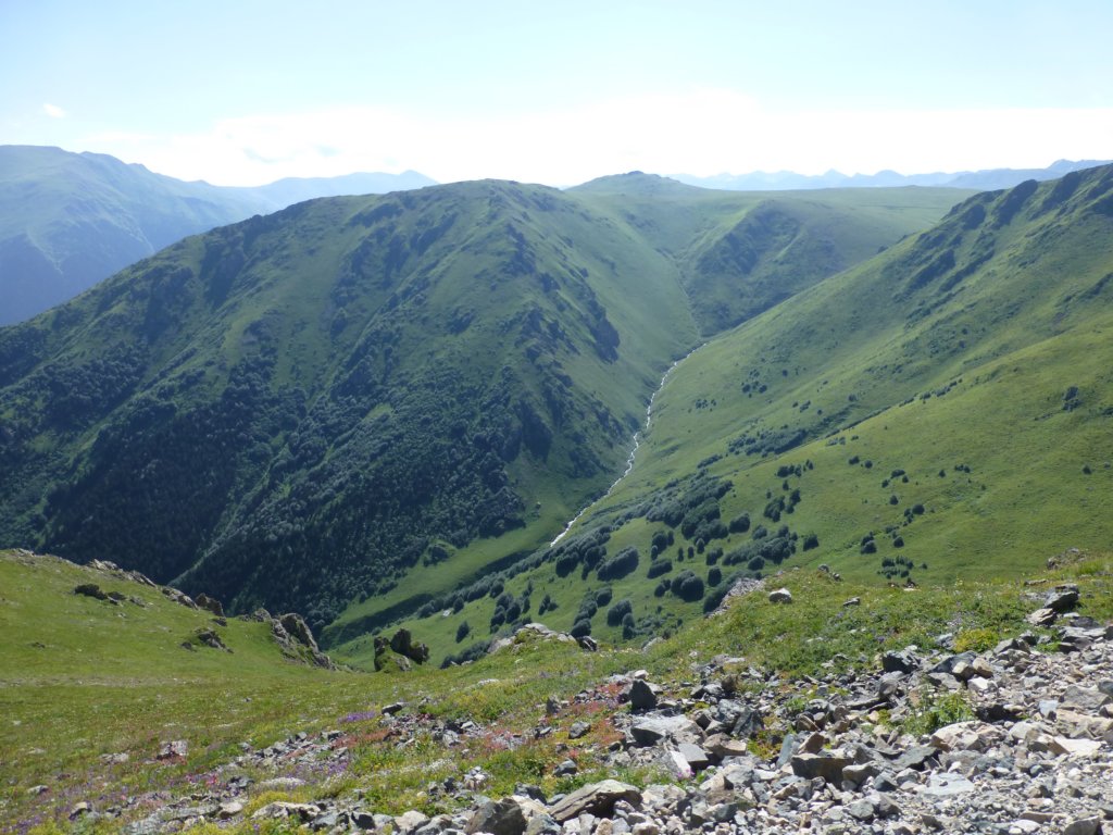 photo44.jpg