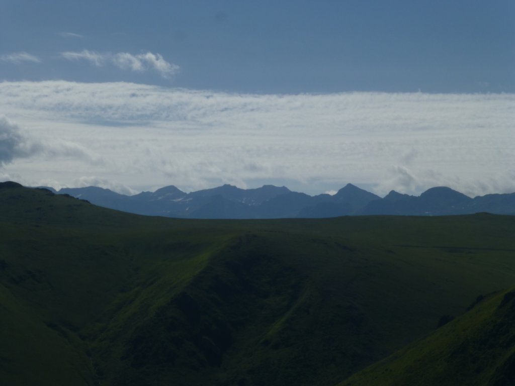 photo48.jpg
