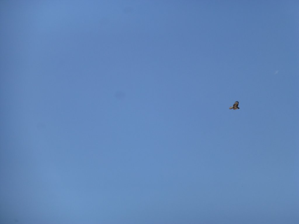 photo61.jpg