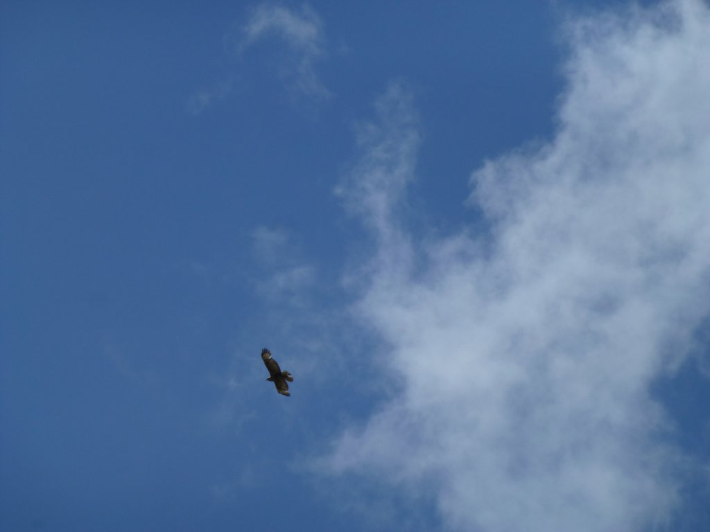 photo63.jpg