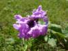 photo78_small.jpg