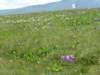 photo79_small.jpg