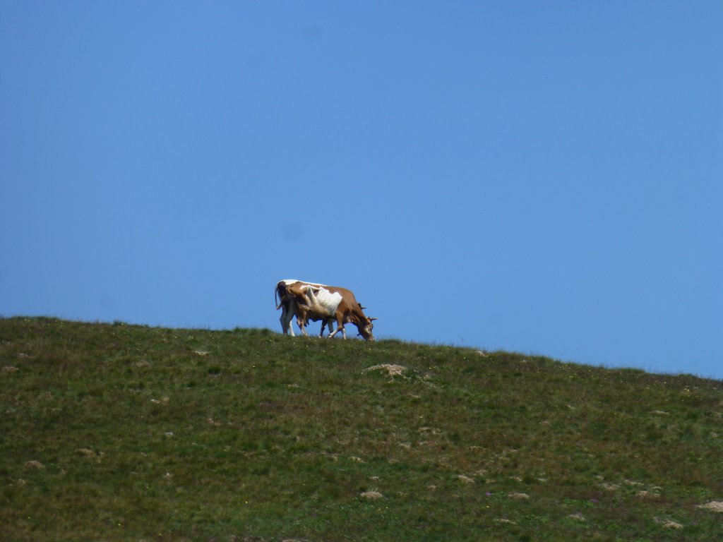 photo89.jpg