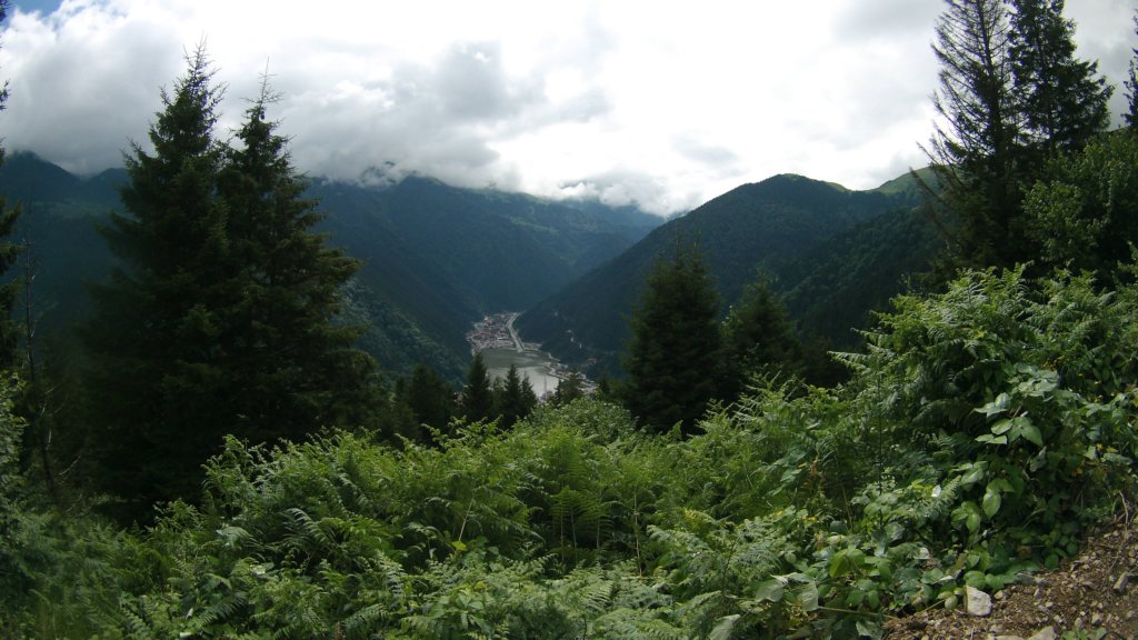 photo10.jpg