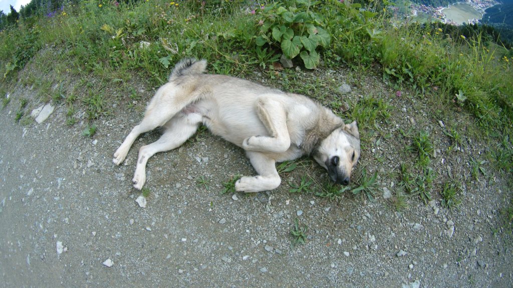 photo16.jpg