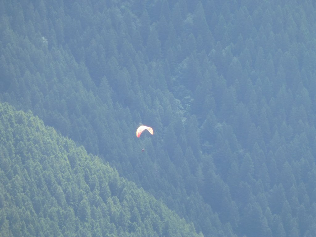 photo24.jpg