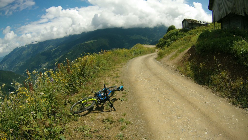 photo33.jpg