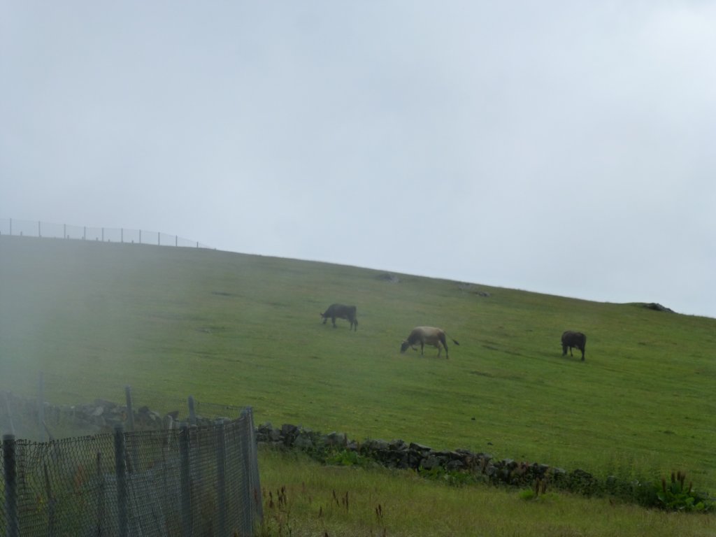 photo84.jpg
